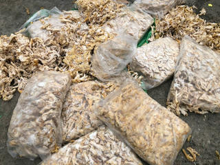 Quảng Ninh: Bắt giữ hơn 1 tấn chân gà, trứng gà non không nguồn gốc