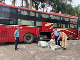 Quảng Ninh: Xử phạt tài xế xe khách vận chuyển gần 500kg lòng lợn thối 