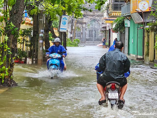 Ninh Bình: Cây đổ, tôn bay, nhà  ngập nước trước giờ bão đổ bộ