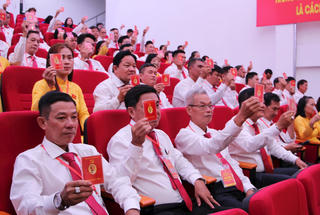 Bình Hưng hướng đến phát triển kinh tế xanh, bền vững