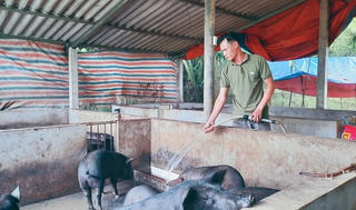 Huy động nguồn vốn hỗ trợ phát triển sản xuất hướng đến giảm nghèo bền vững