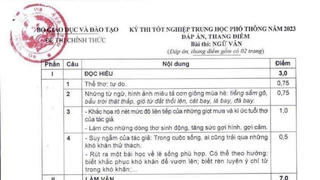 Đáp án chính thức môn Ngữ văn thi tốt nghiệp THPT 2023