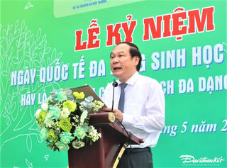 Quảng Nam: Chung tay bảo tồn thiên nhiên, đa dạng sinh học