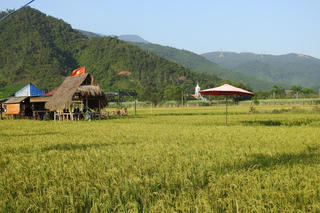 Đà Nẵng: Xã miền núi tràn lan mô hình du lịch tự phát trên đất nông nghiệp