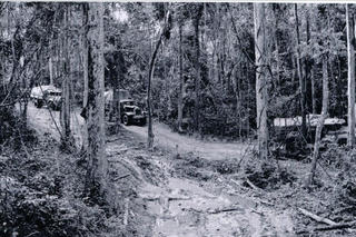 65 năm Ngày mở đường Hồ Chí Minh - Ngày truyền thống Bộ đội Trường Sơn: Viết tiếp những kỳ tích mới từ con đường huyền thoại