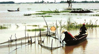 Nhớ mùa nước lũ