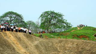 Chân chất Lê Kim