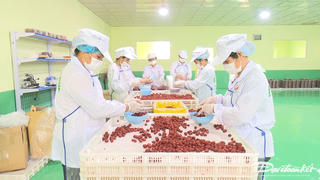 Bắc Kạn thu ngân sách năm 2023 đạt hơn 837 tỷ đồng