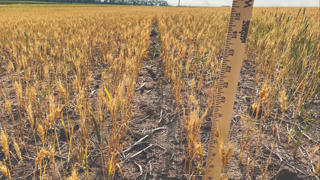 Suy thoái rình rập châu Á