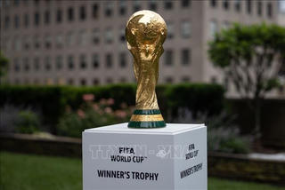 Danh sách đội tuyển 'đắt' nhất World Cup 2022