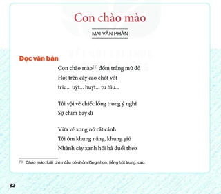 Sách giáo khoa qua nhiều vòng thẩm định vẫn có 'sạn'