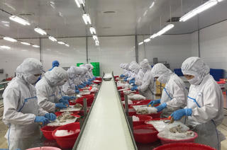 Tranh thủ thời cơ mở rộng thị trường