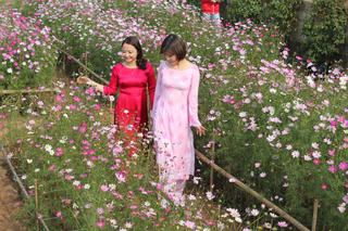 Giá trị của tuổi trẻ