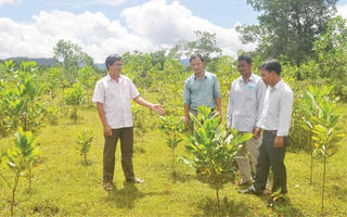 Thúc đẩy khởi sự kinh doanh trong vùng đồng bào DTTS