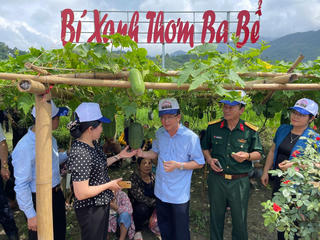 Đẩy mạnh ứng dụng TMĐT trong tiêu thụ sản phẩm Bí xanh thơm và các nông sản tỉnh Bắc Kạn