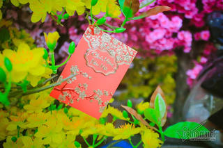 Lời chúc Tết gia đình, bạn bè, đồng nghiệp dịp Tết Quý Mão 2023