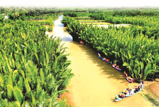 Khám phá rừng dừa nước Tịnh Khê