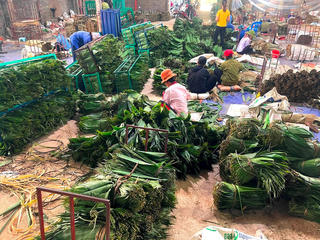 Giàu lên từ lá tre