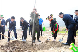 Phát động 'Tết trồng cây đời đời nhớ ơn Bác Hồ' tại Bắc Giang