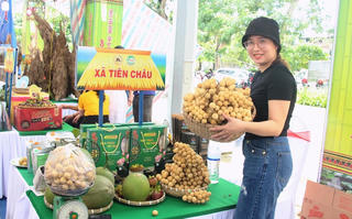 [ẢNH] Ngày hội sản phẩm miền núi xứ Quảng