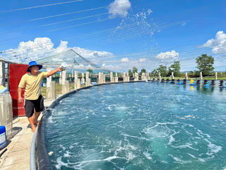 Quảng Ninh: Ứng dụng khoa học công nghệ để phát triển nghề nuôi tôm bền vững