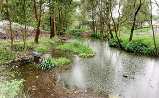 Xử phạt hơn 50 triệu đồng 2 trang trại gây ô nhiễm môi trường