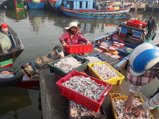 Quyết tâm gỡ thẻ vàng IUU