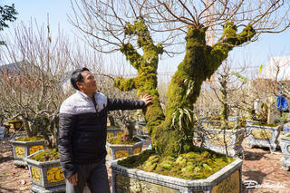 Đào Sơn La, khế Vĩnh Long 'giá khủng' xuống phố Thanh Hóa