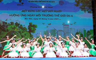 Một rừng cây, một đời người