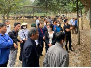 Ngăn chặn kịp thời ‘Tour du lịch miễn phí 0 đồng’ có dấu hiệu lừa đảo