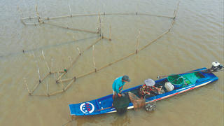 Mưu sinh trên cánh đồng lũ