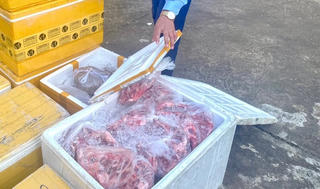 Đắk Lắk: Tạm giữ gần 1 tấn thực phẩm không rõ nguồn gốc