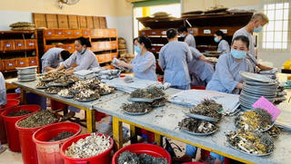 Phòng khám phát thuốc, chữa bệnh miễn phí hơn 60 năm