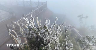 Lào Cai: Đỉnh Fansipan xuống -6 độ C, băng tuyết phủ trắng xóa