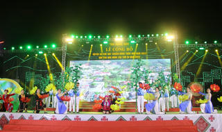 Quảng Ninh: Khai hội Trà hoa vàng lần thứ IV năm 2023