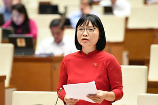 Đại biểu Quốc hội: Không thể phát hiện người tài bằng hồ sơ, bằng cấp, hay qua các kỳ thi hình thức