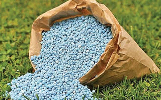 Áp thuế với phân bón, nên hay không?