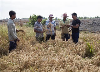 Kiên Giang: Tập trung ứng phó với khô hạn, xâm nhập mặn