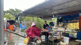 Tăng cường kiểm tra, giám sát thị trường trước hậu quả Bão số 3