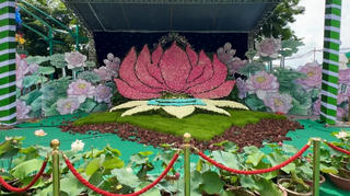 Mãn nhãn sắc sen tại Lễ hội Sen Hà Nội 2024