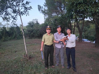 TP Huế: Phát hiện gà lôi trắng, người dân giao nộp cho chính quyền địa phương