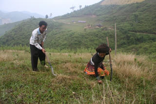 Đào tạo nghề gắn với việc làm ổn định cho người nghèo