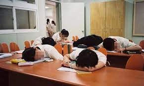 Thí sinh Cà Mau bị điểm 0 do ngủ quên: Cán bộ coi thi thực hiện đúng nhiệm vụ