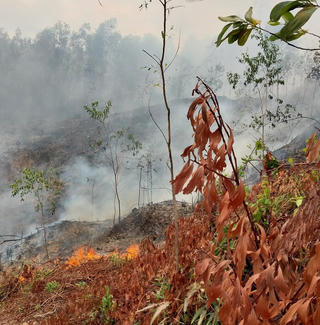 Quảng Nam: Đốt thực bì, người đàn ông bị bỏng nặng tử vong