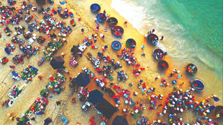 Chợ cá Tam Tiến