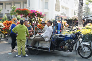 Hoa Tết đợi người