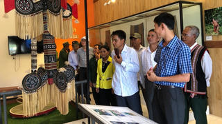 Cây cao tỏa bóng yên bình