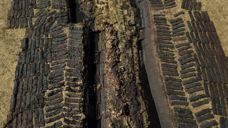 Thiệt hại kinh tế nặng nề khi vùng đất ngập nước biến mất