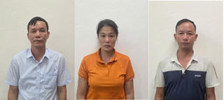 Quảng Ninh: Khởi tố giám đốc công ty lâm nghiệp chỉ đạo khai thác gỗ tự nhiên