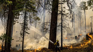 Tổng Thư ký Liên hợp quốc: 'Hành động hoặc tự sát'